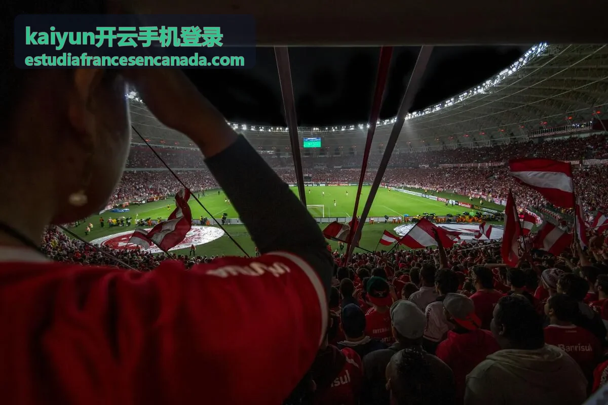 kaiyun开云手机登录客户端下载安装界面示意