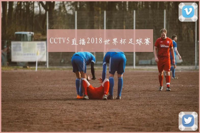 CCTV5直播2018世界杯足球赛
