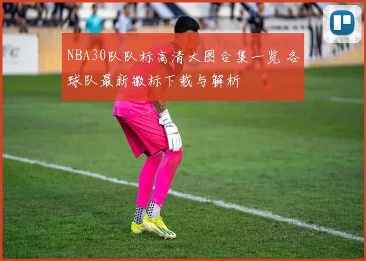 NBA30队队标高清大图合集一览 各球队最新徽标下载与解析