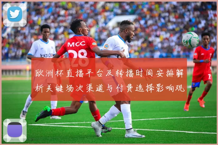 欧洲杯直播平台及转播时间安排解析关键场次渠道与付费选择影响观赛体验