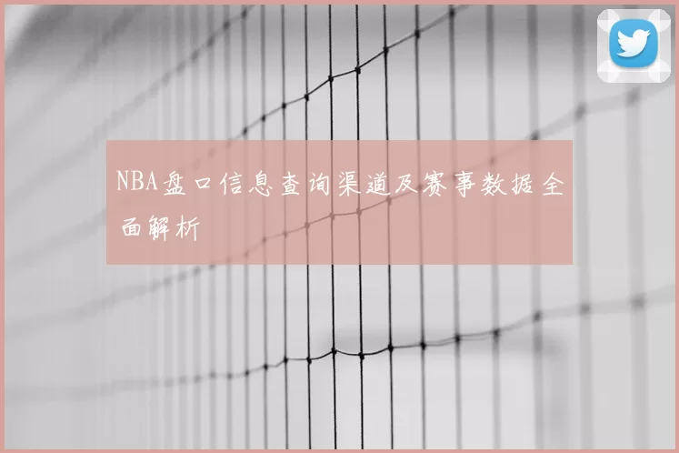 NBA盘口信息查询渠道及赛事数据全面解析