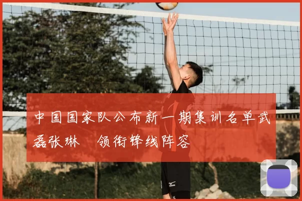 中国国家队公布新一期集训名单武磊张琳芃领衔锋线阵容